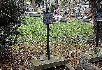 Myśli na każdy dzień - 10 czerwiec w serii „365 dni ze sługą Bożym”