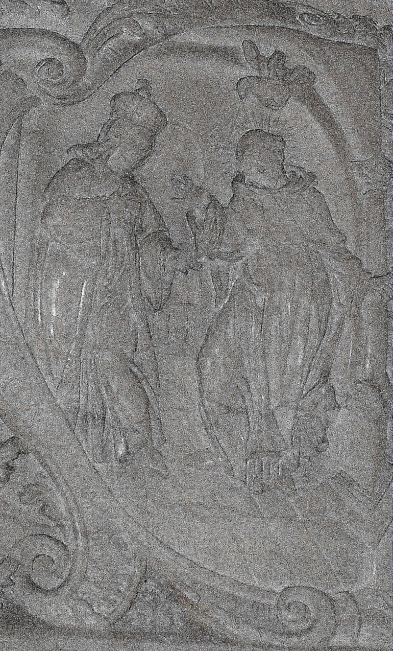 Błogosławiony Czesław - patron dnia (20 lipca)
